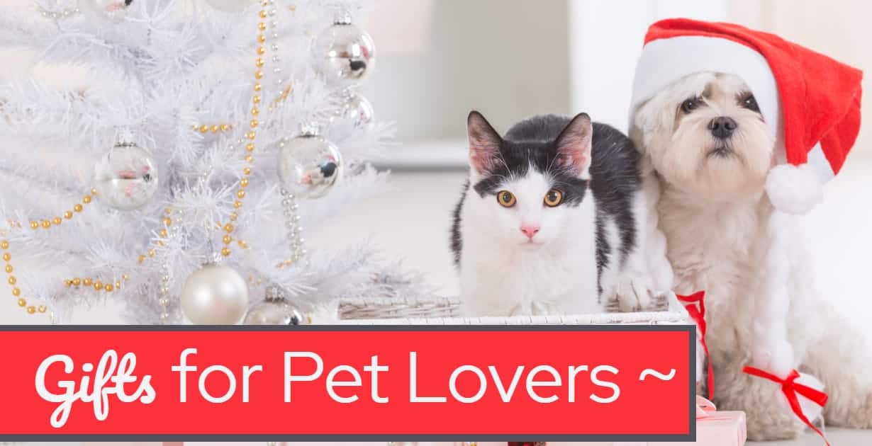 Best Gifts For Pet Lovers In Your Life Gift Ideas Ipetskc