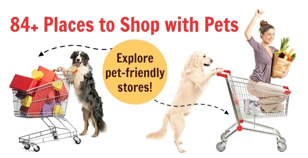 what stores are dog friendly