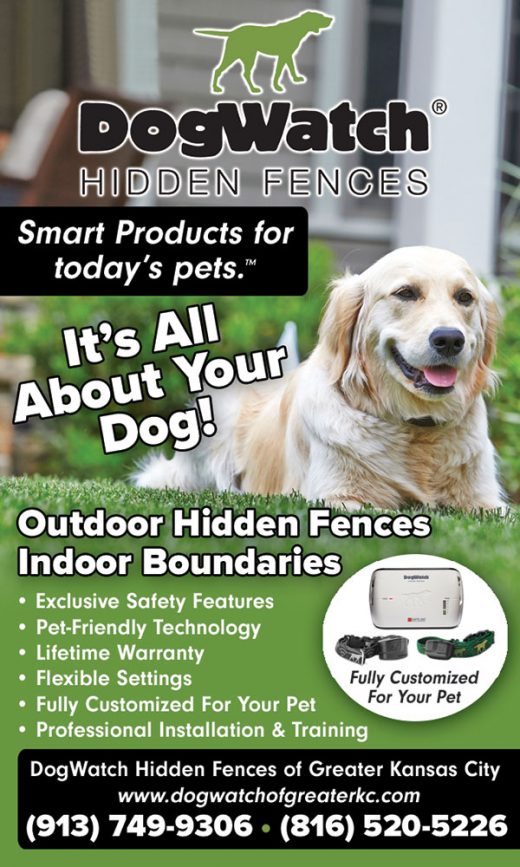 DogWatch Hidden Fences – IPetsKC